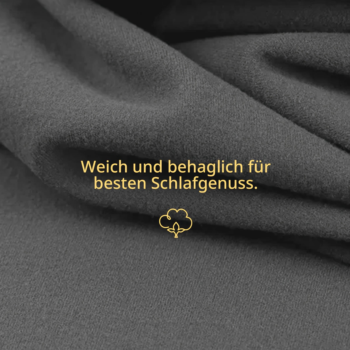 description_selected4