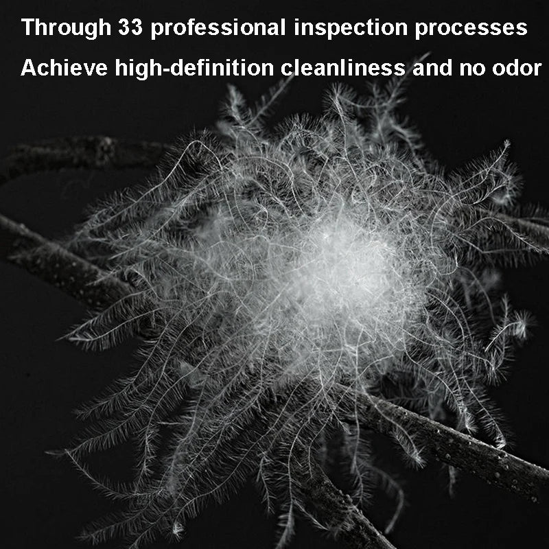 description_selected4