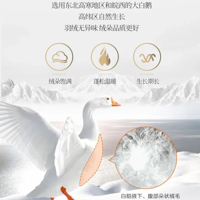 description_selected4